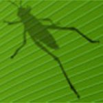 Grasshopper3D